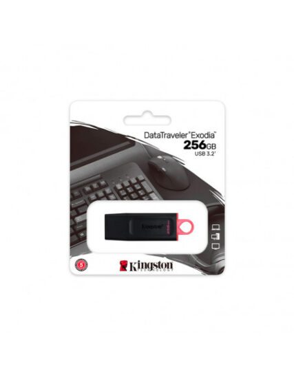 PENDRIVE Kingston exodia 256GB  USB 3.2